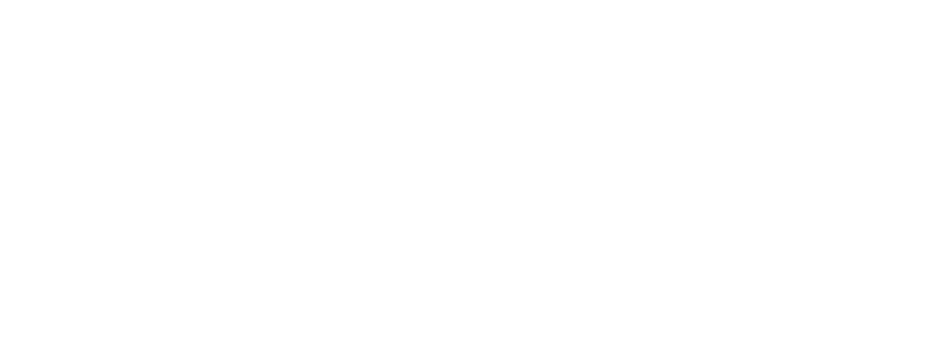 Distriam Logo