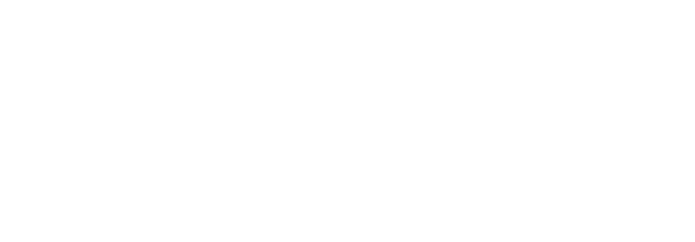 distriam-logo-branca